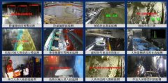 别精确率超96%